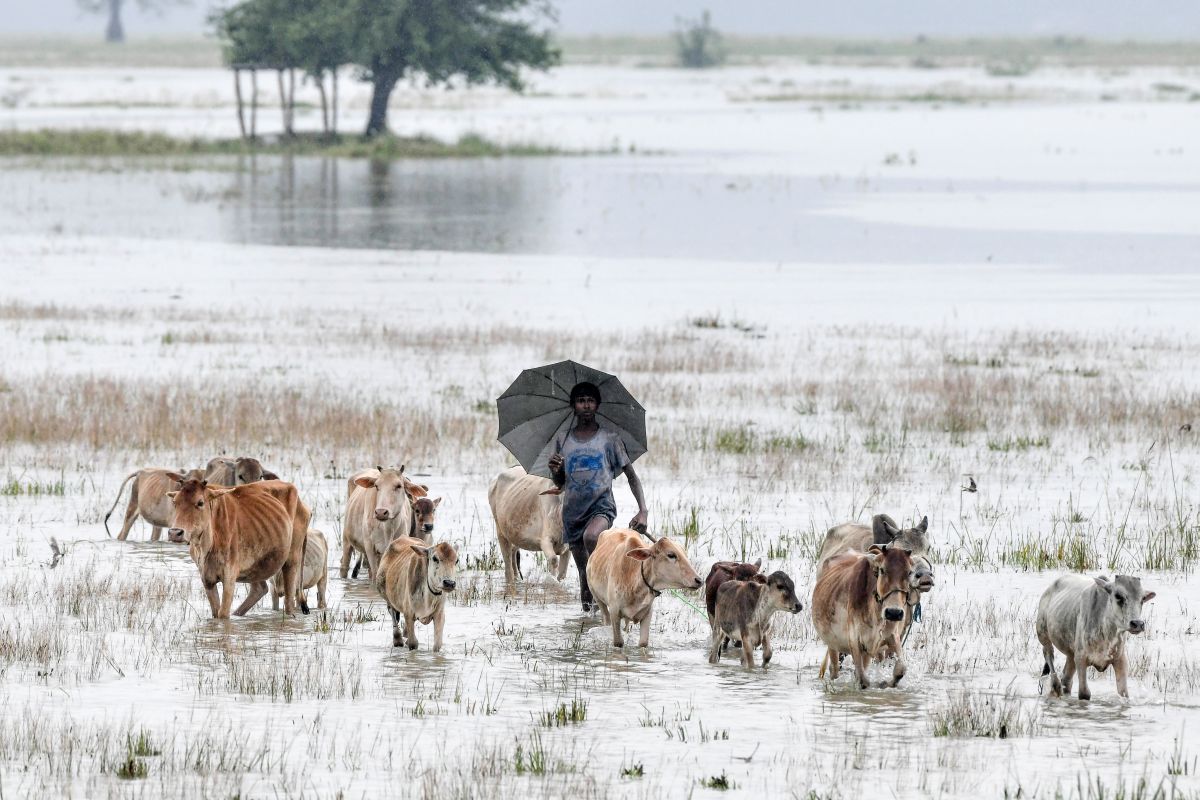 As floods worsen in Assam six more people die, 22 lakh people affected
