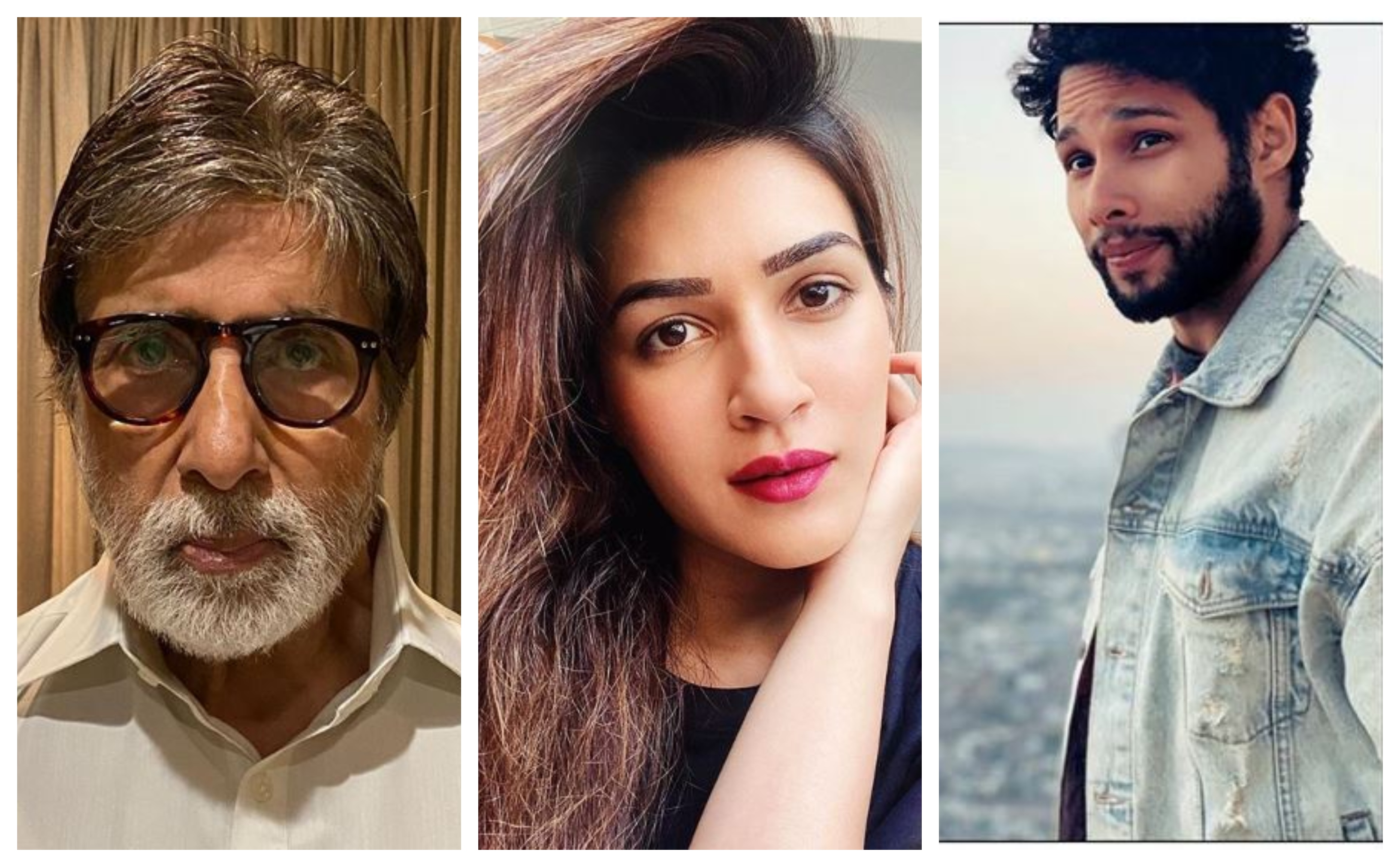From Amitabh Bachchan to Kriti Sanon, here’s how B-town celebs delved into word play amid lockdown