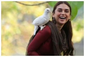 “The film is being watched by non-Malayali audiences,” says Aditi Rao Hydari about her film ‘Sufiyum Sujatayum’