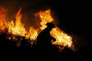 Firefighter dies while battling California wildfire