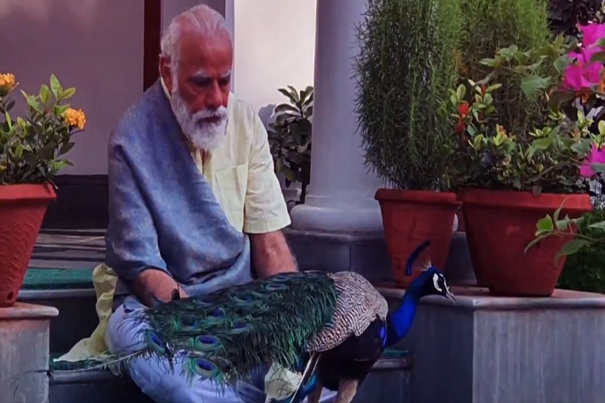 ‘Precious moments’: PM Modi feeds peacock at home, shares video