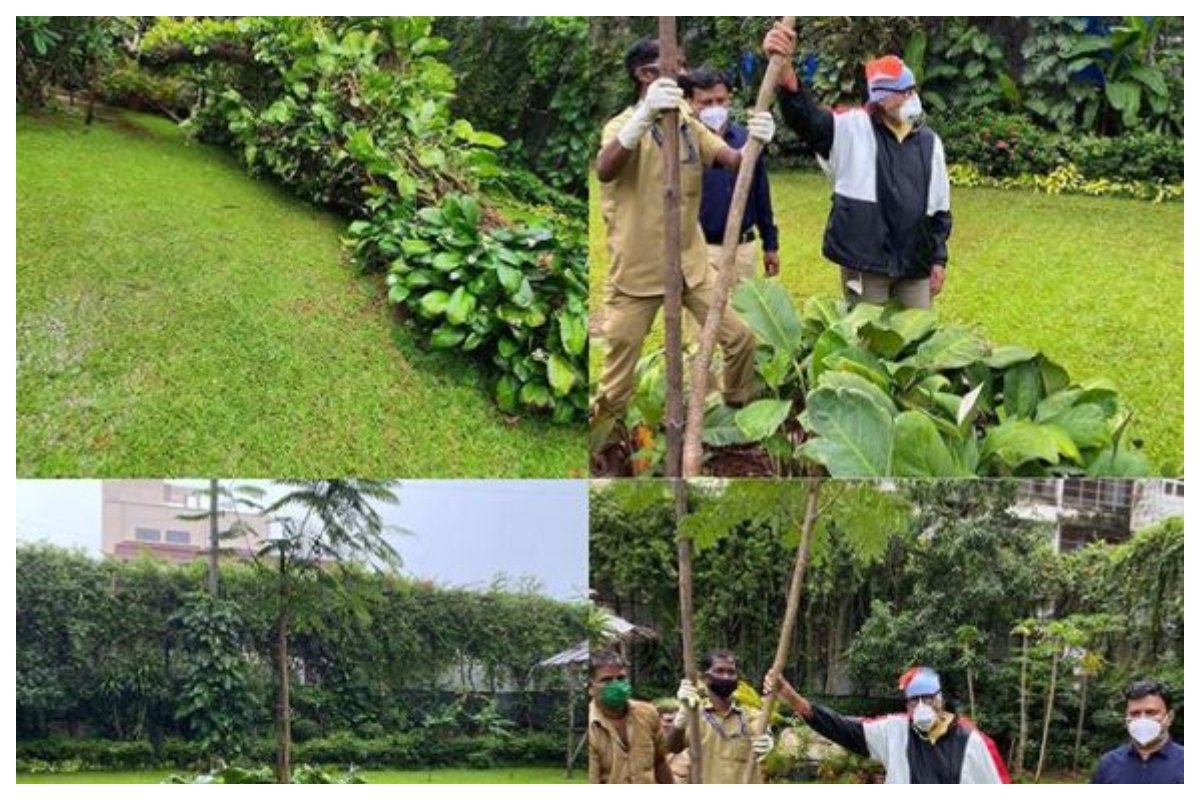 Amitabh Bachchan steps out for first time after COVID-19 recovery, plants gulmohar in mother’s memory