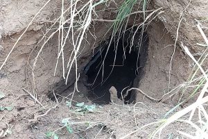 BSF detects 20-feet deep tunnel, sandbags marking ‘Karachi’ near international border in J-K