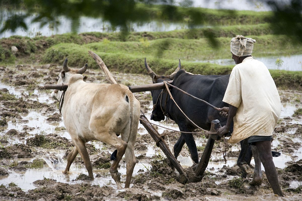 We don’t want situation similar to that under East India Company: Opposition over farm bills