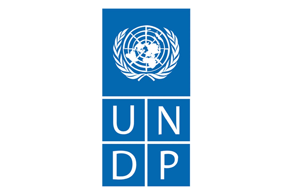 UNDP, analysis, status