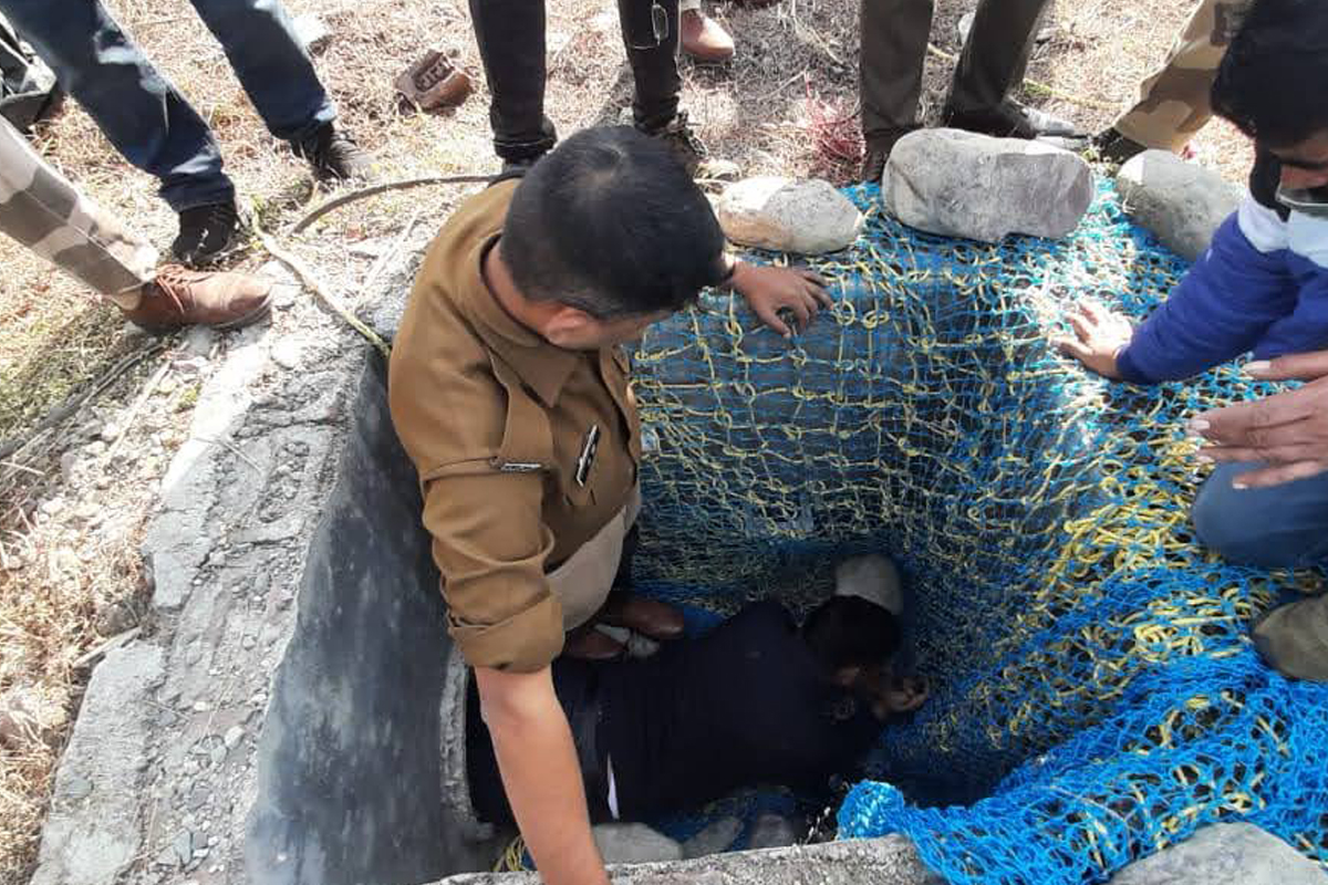 Leopard enters Dehradun airport, rescue operation launched