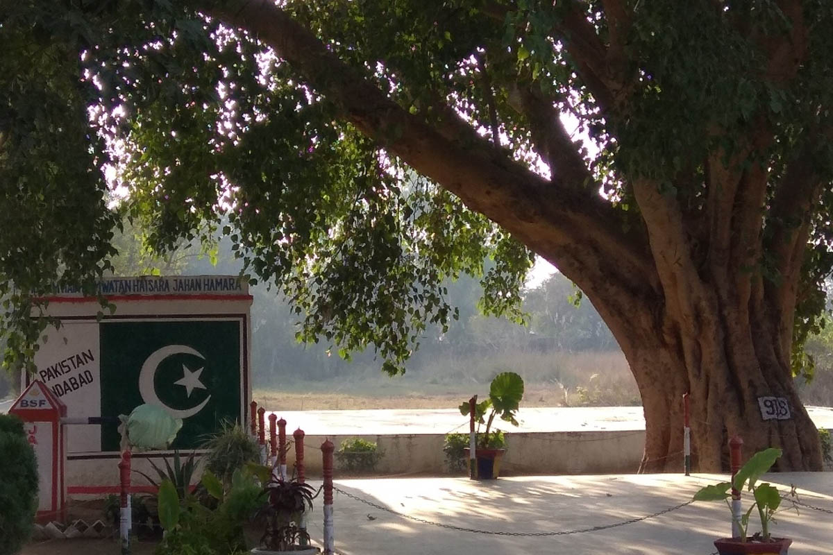 banyan tree, India, Pakistan border, Jammu, International Border