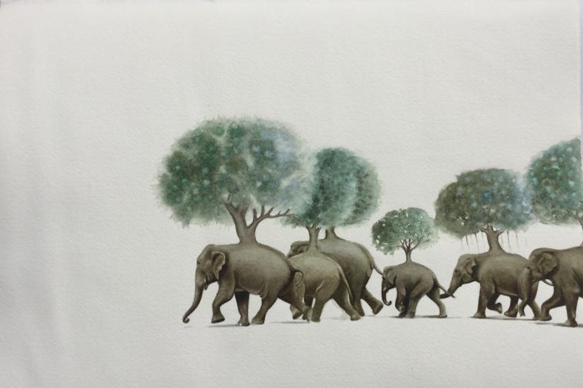 Nature becomes muse in these online exhibitions
