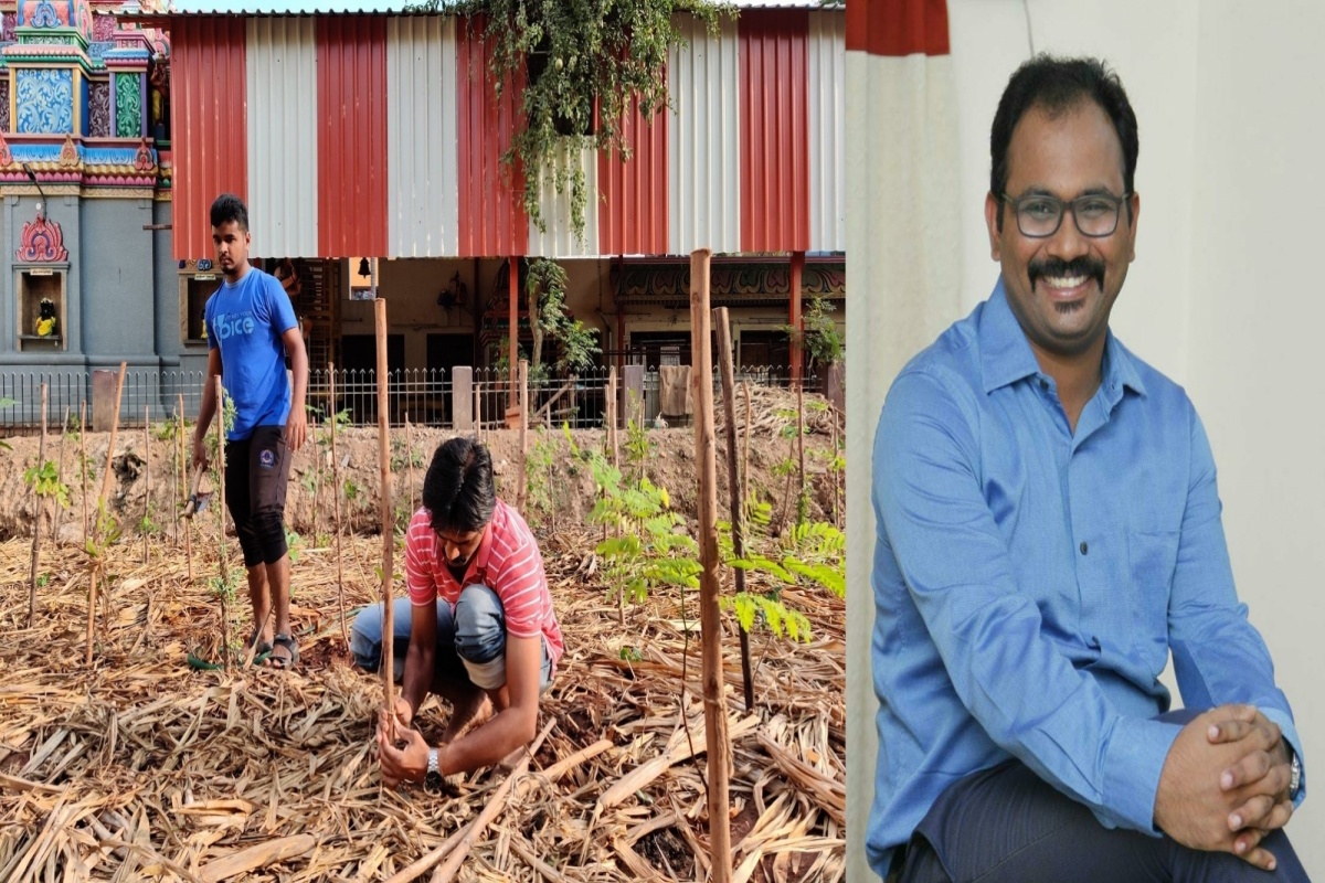 IAS officer turning Chennai green using Japanese foresting technique