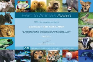 UP police officer gets PETA award for feeding animals