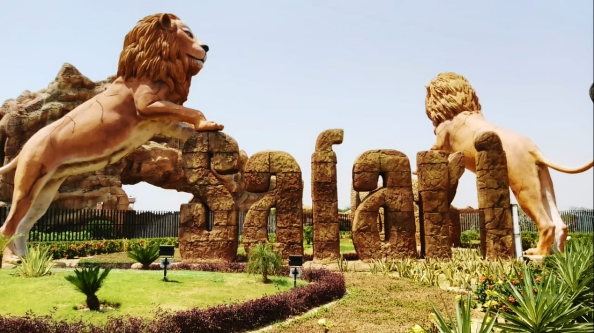Covid Samples of Jaipur panther, white tiger, lioness to be taken again