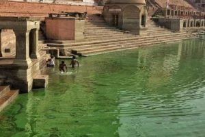 Ganga goes green in Varanasi