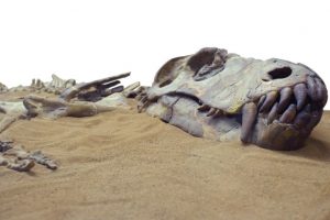 Footprints of last dinosaurs found in United Kingdom