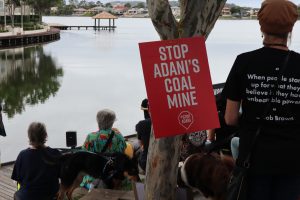 Charmichael project, Adani Group’s Australia arm strikes coal