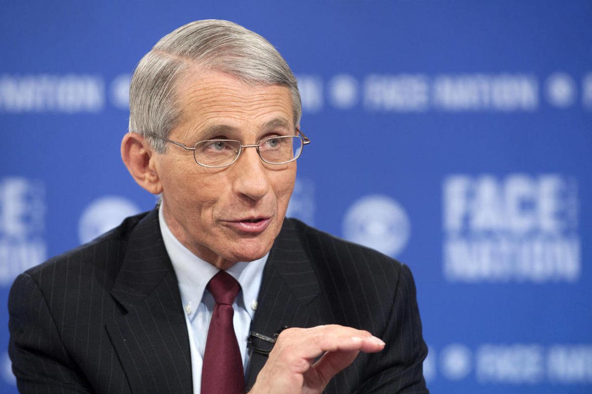 Are you kidding me?: Fauci hits back at criticism