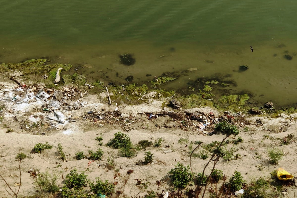 Two corpses float down to Malda on the Ganga