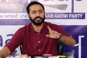 Government should regularise teachers who have been working on contractual basis for last 20 years: AAP