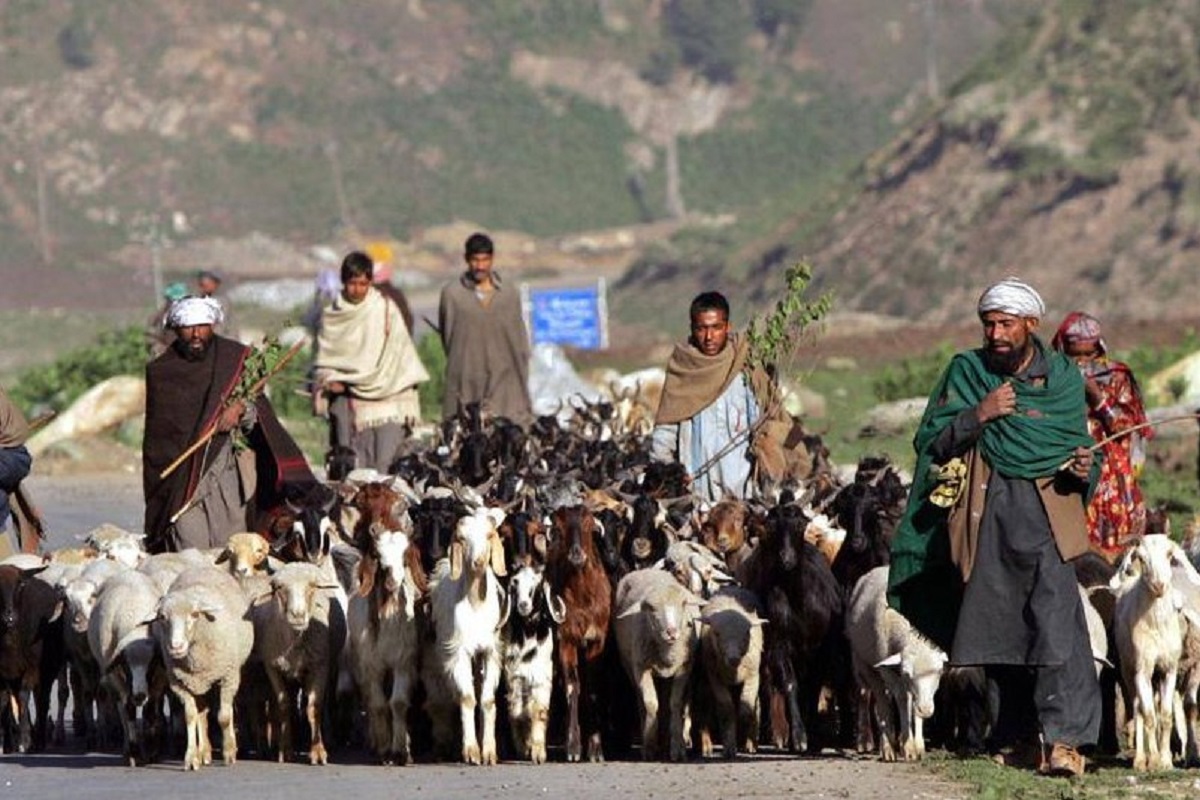 First-ever survey of migratory tribals initiated in J&K