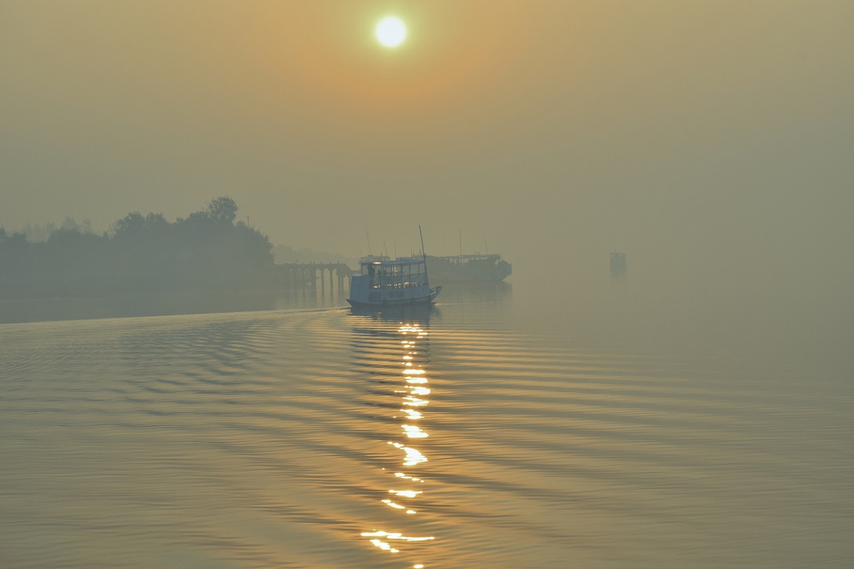 Focus on Sundarbans~II