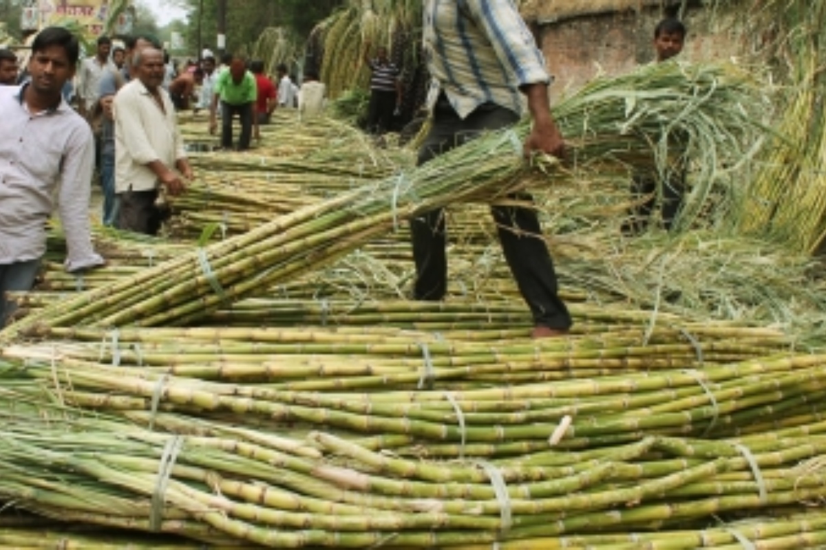 Yogi govt makes record payment to cane growers