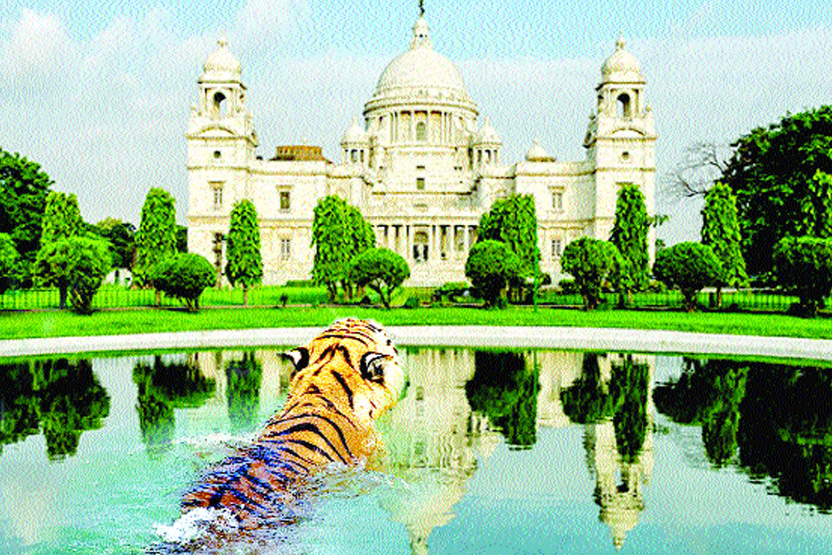 If the Sundarbans fall, Kolkata will be next