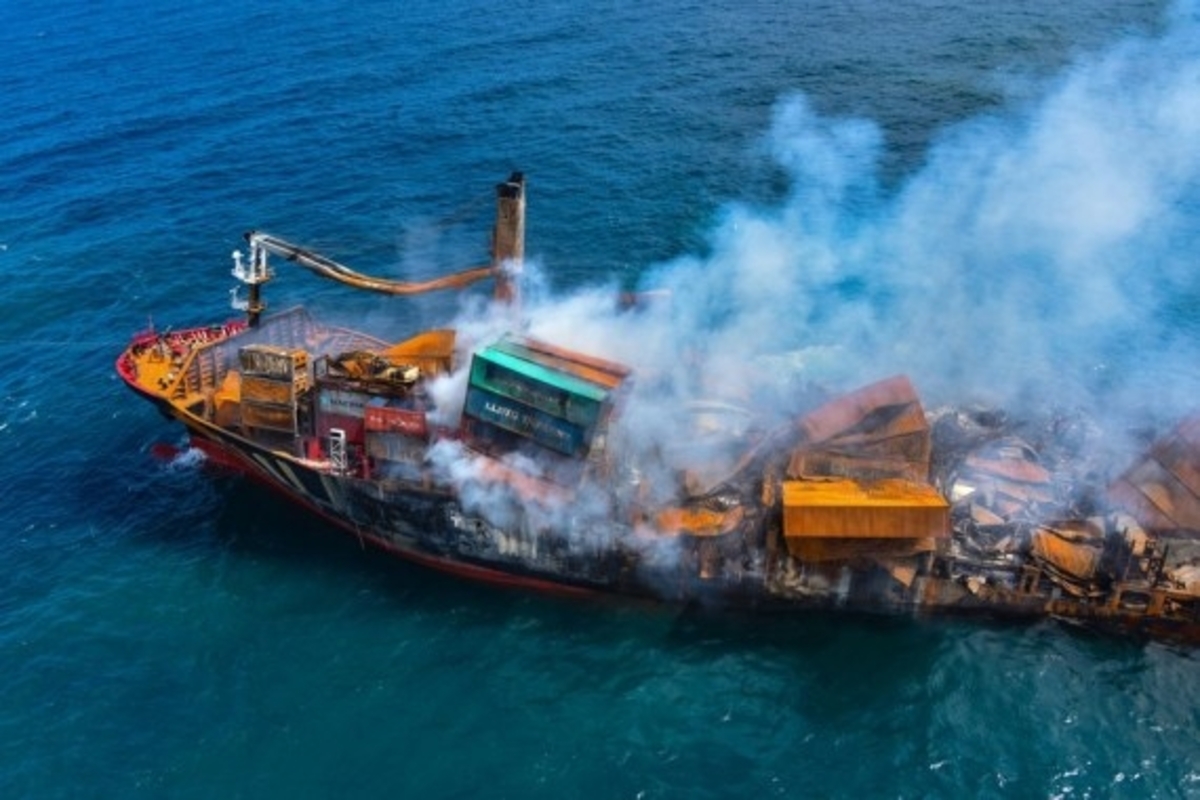 176 turtles, 20 dolphins dead after cargo ship fire in Sri Lanka