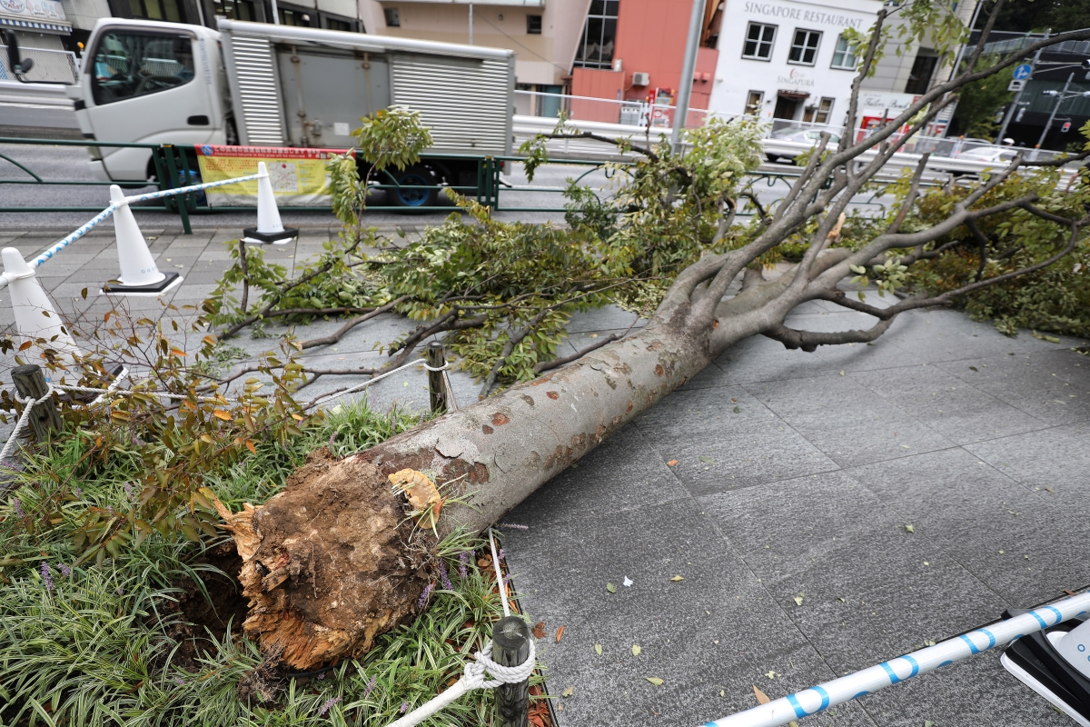 Typhoon Nepartak makes landfall in Japan