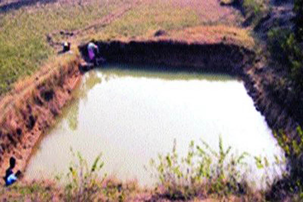1,700 rain water harvesting systems installed in Bhubaneswar