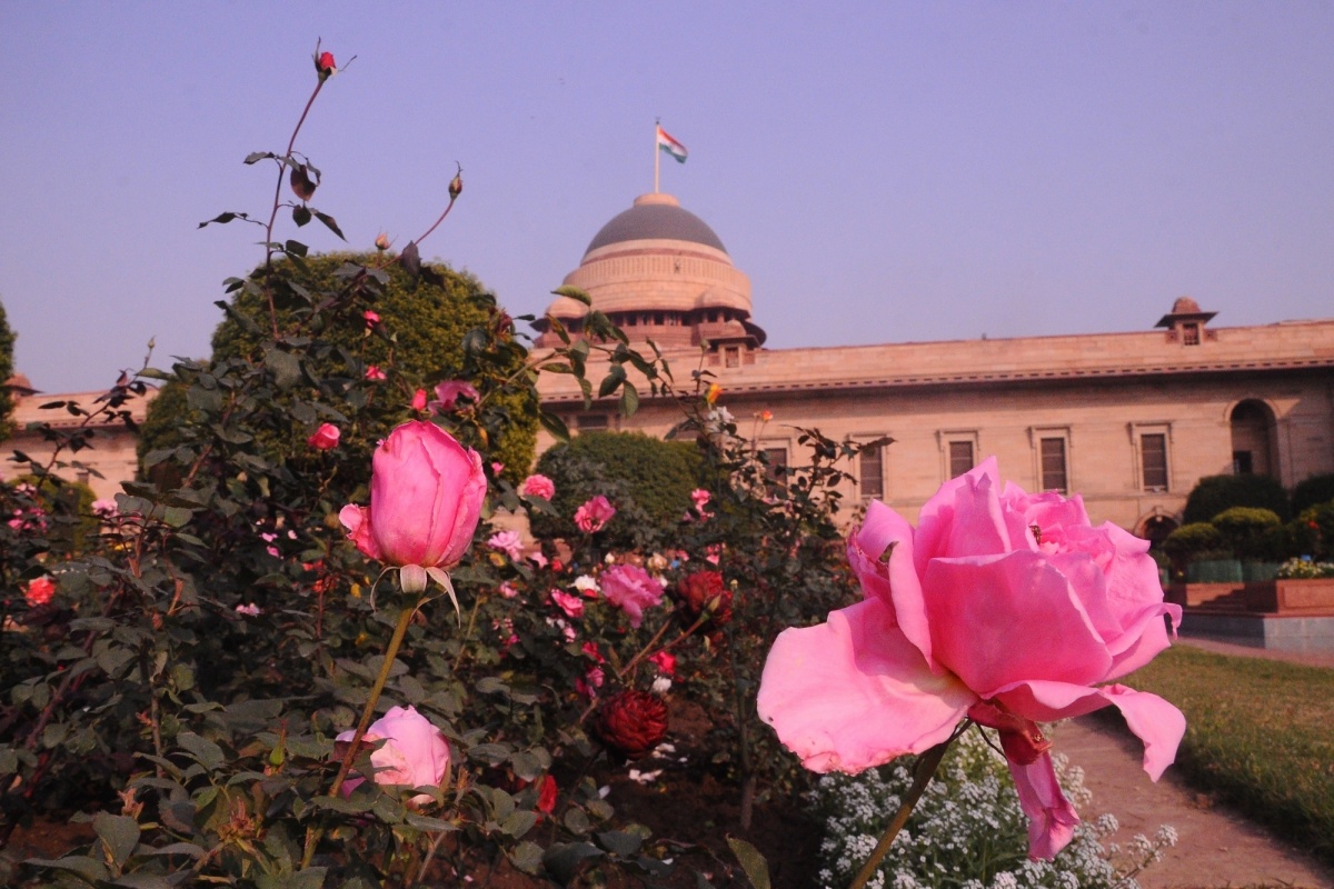 Presidential palace to reopen for public from Aug 1