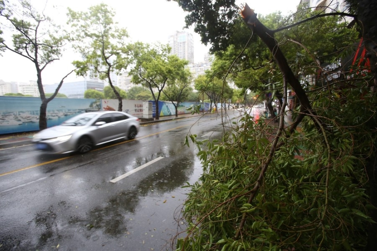 Typhoon Cempaka makes landfall in China
