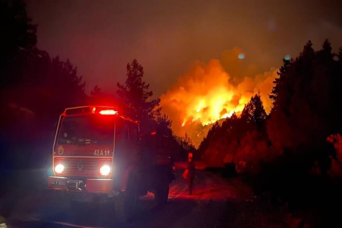 62 people affected in Turkey forest fire, one dead