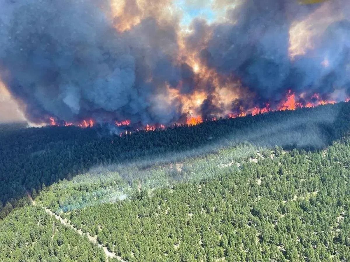 Canada heatwave: Lightning triggers wildfires in British Columbia