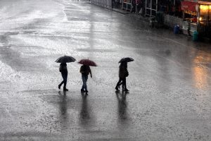 Weak monsoon conditions likely over northwest, central India: IMD