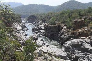 Tamil Nadu to file appeal in SC against NGT’s order on Mekedatu dam