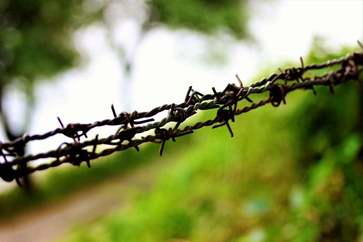 Union MoS seeks land for B’desh border fencing