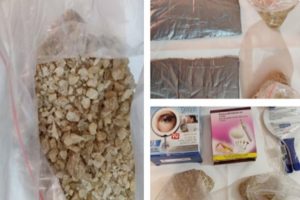 Bengaluru woman held with parcel of drugs from Germany