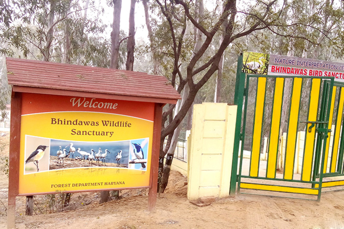 Haryans’s Sultanpur & Bhindawas get Ramsar sites tag