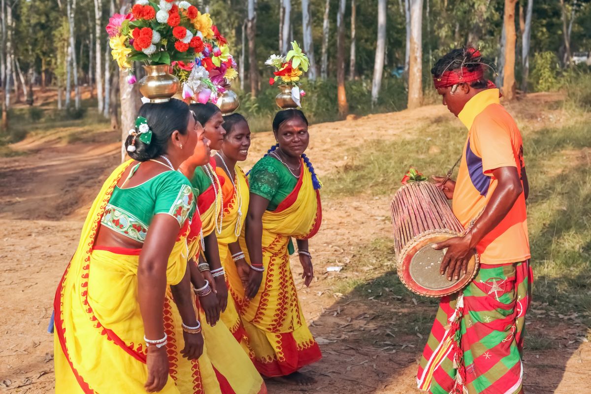 Conservation plantation helps Tamil Nadu tribals earn livelihood