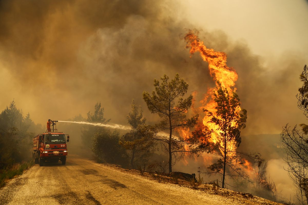 10 wildfires reported across Tunisia in 24 hours