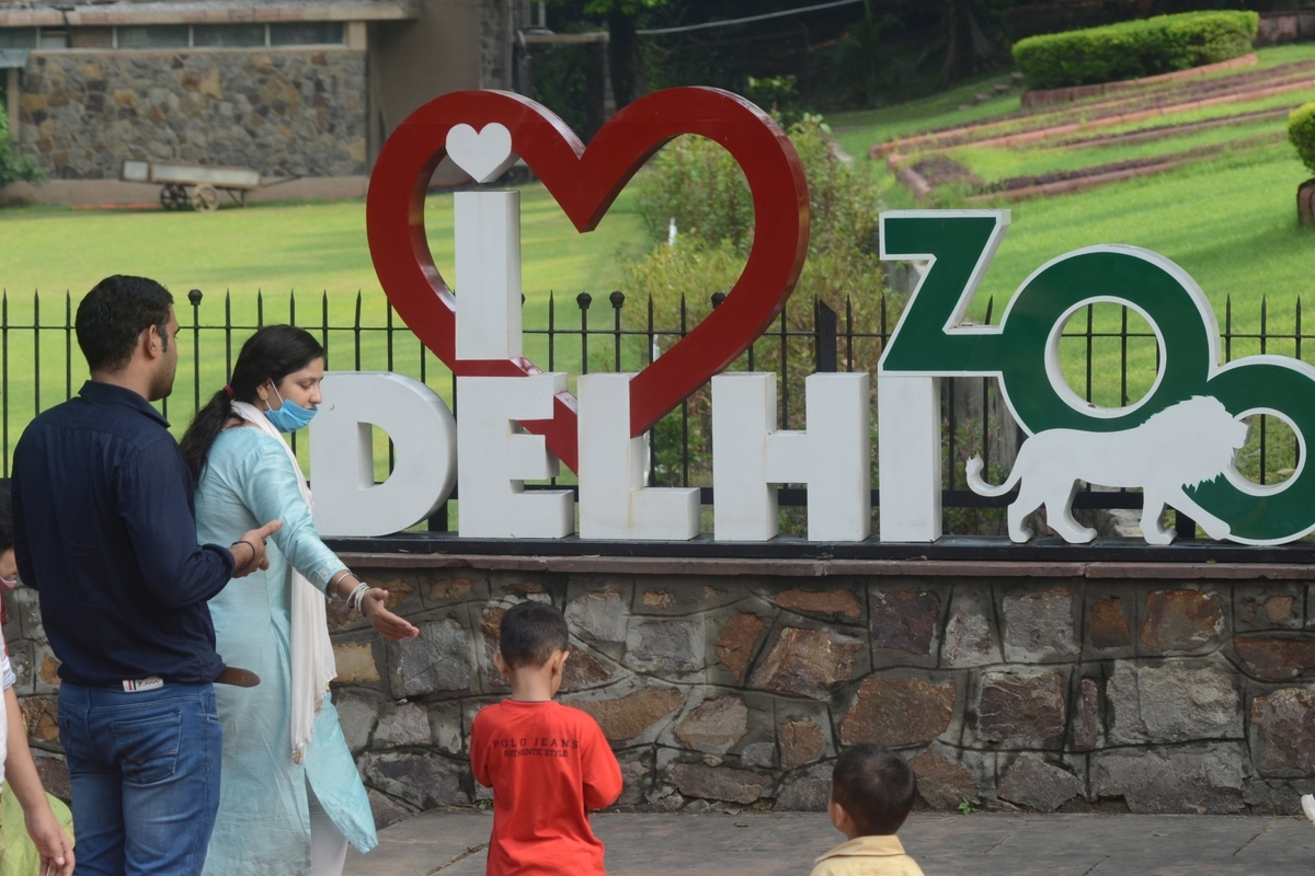 Delhi Zoo, medicines, activist Vivek Pandey, Delhi Zoo