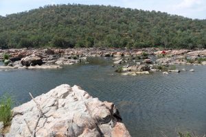 Mekedatu dam to face TN objection at Cauvery meet on 24 Sept
