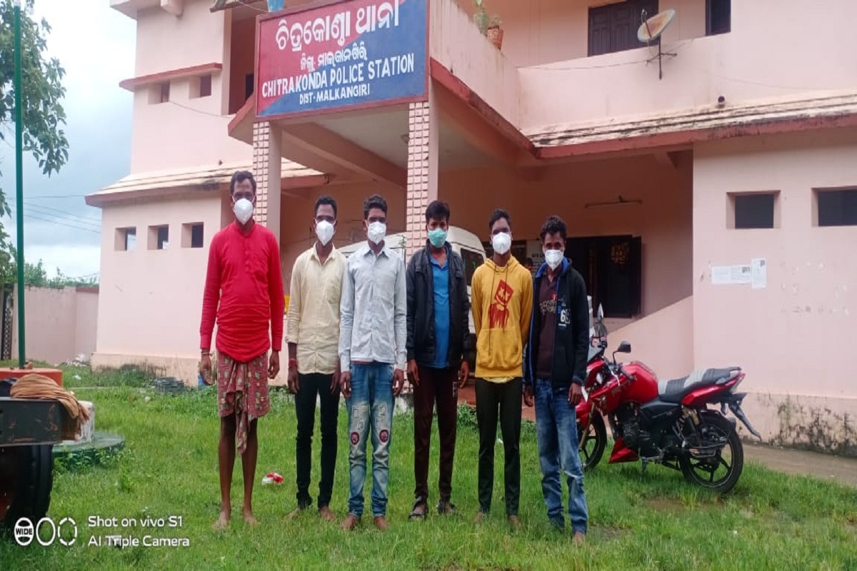 Drug bust: Seven held with cannabis worth Rs 81 lakh in Odisha