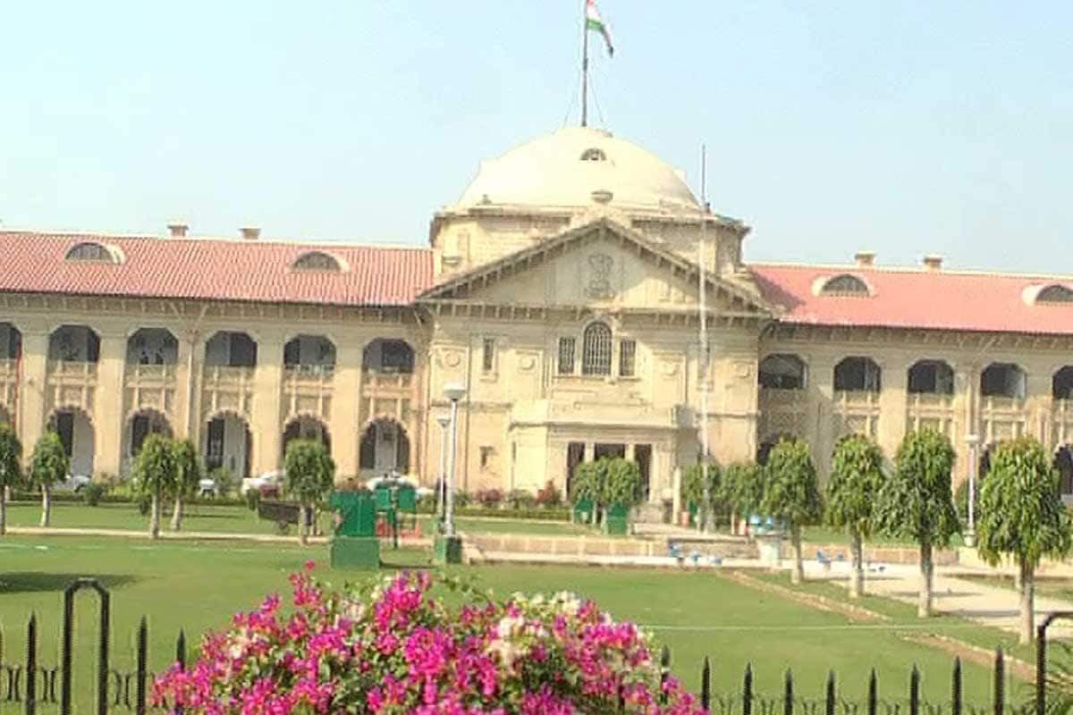 Allahabad HC asks govt to declare cow national animal