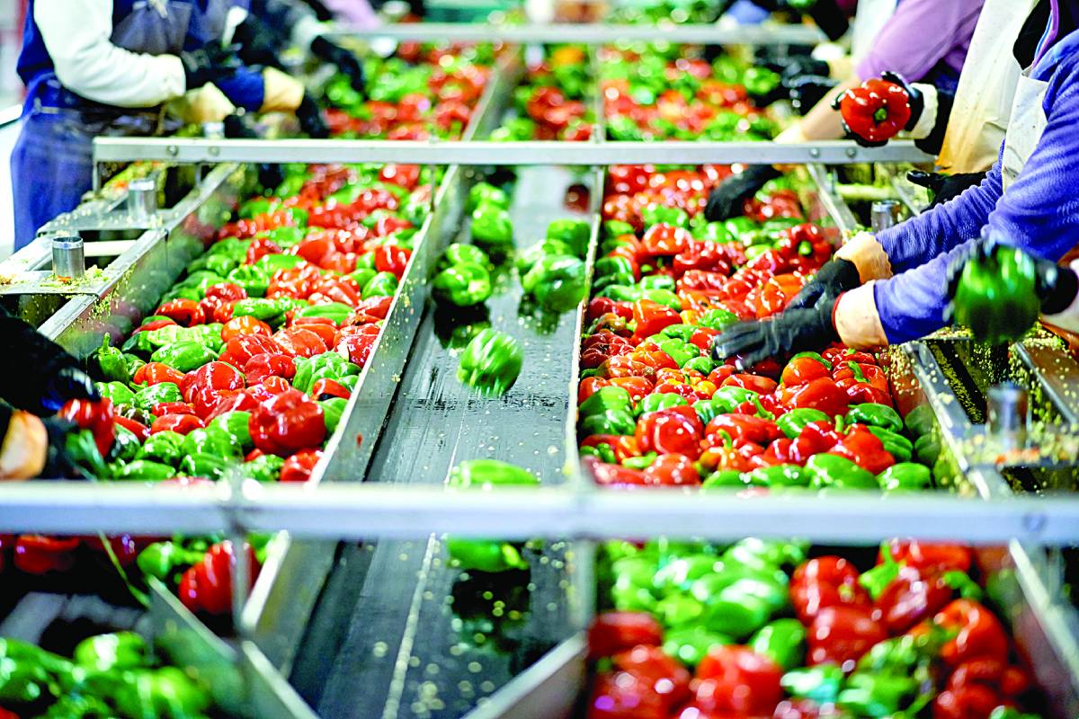 Food processing reforms vital for jobs and nutrition