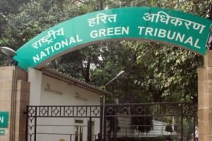 NGT directs inspection of dumping site near Haryana wildlife sanctuary