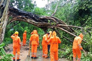 Weakened Cyclone ‘Gulab’ spares Odisha with minimal damage, people relieved