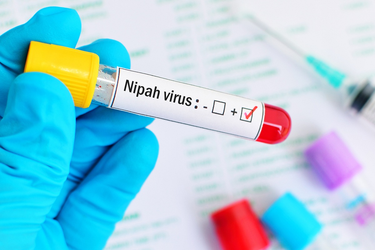 Nipah scare at Kozhikode on the wane as more samples test negative