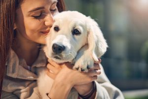 Things to consider before planning a journey with pets