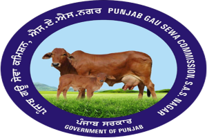 Punjab Gau Sewa Commission demands death penalty for cow slaughter
