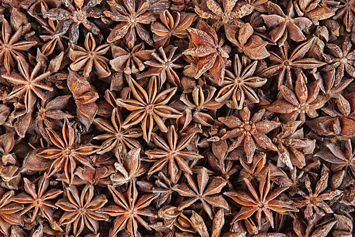 Star Anise farming viable in Himalayan states, claims research